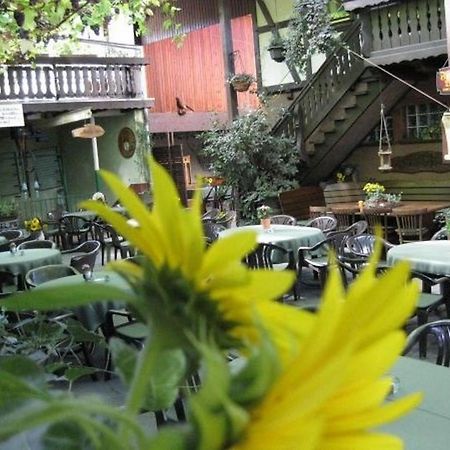 Weingut Franz Schaefer Hotel Bad Neuenahr-Ahrweiler Buitenkant foto